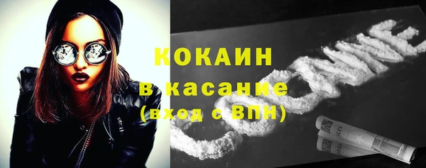 молекула духа Покров