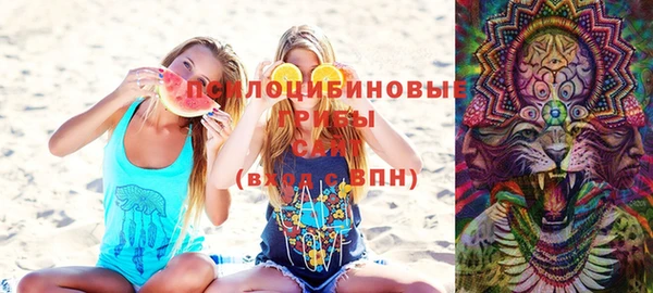 молекула духа Покров