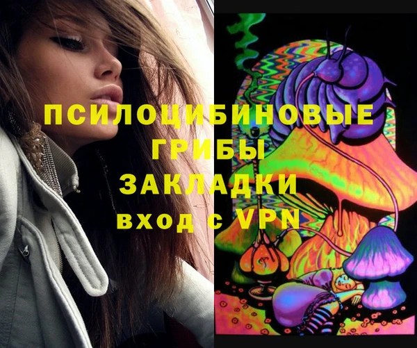 молекула духа Покров