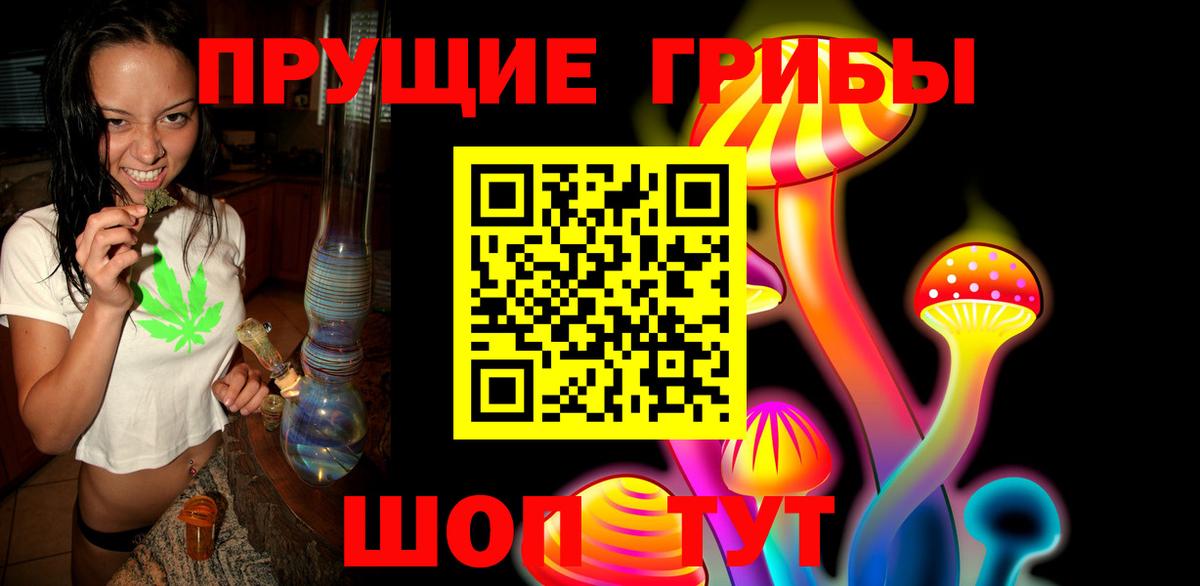 Псилоцибиновые грибы Psilocybe Чита